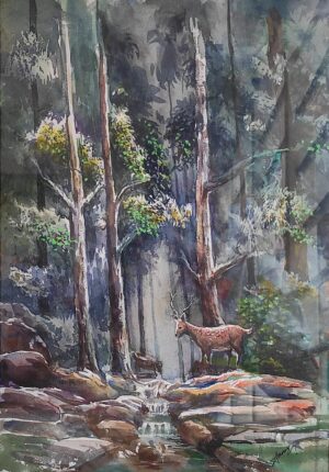Deer in the Forest