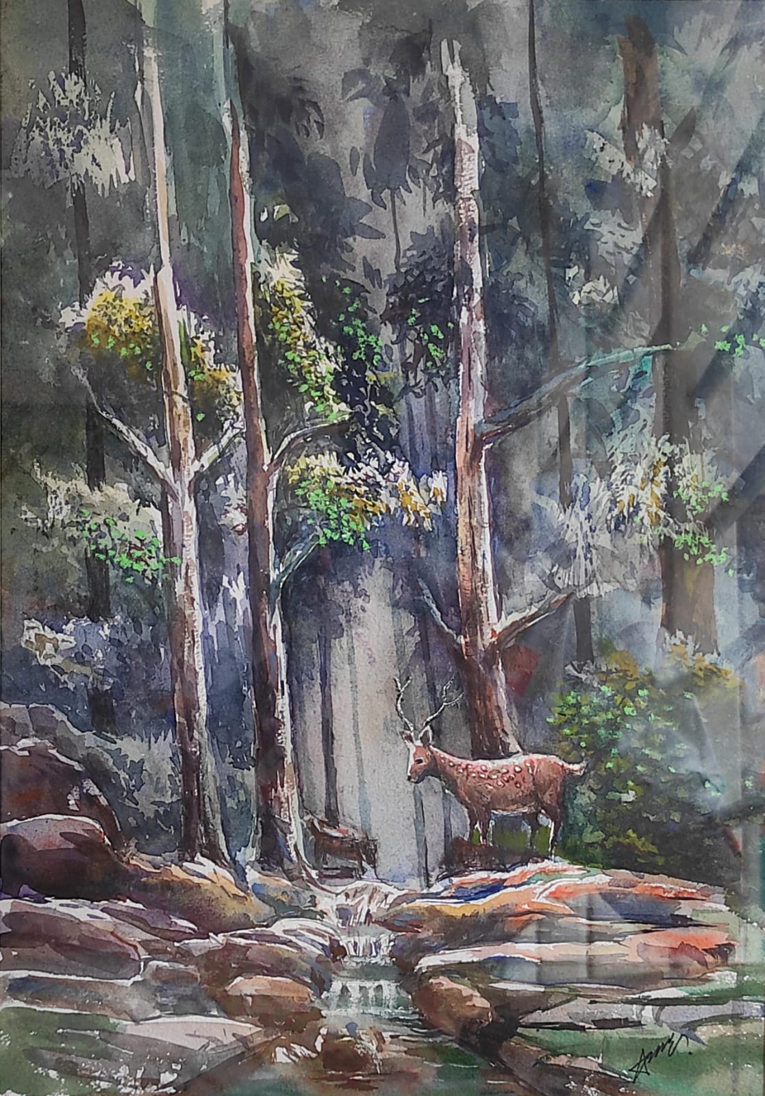 Deer in the Forest