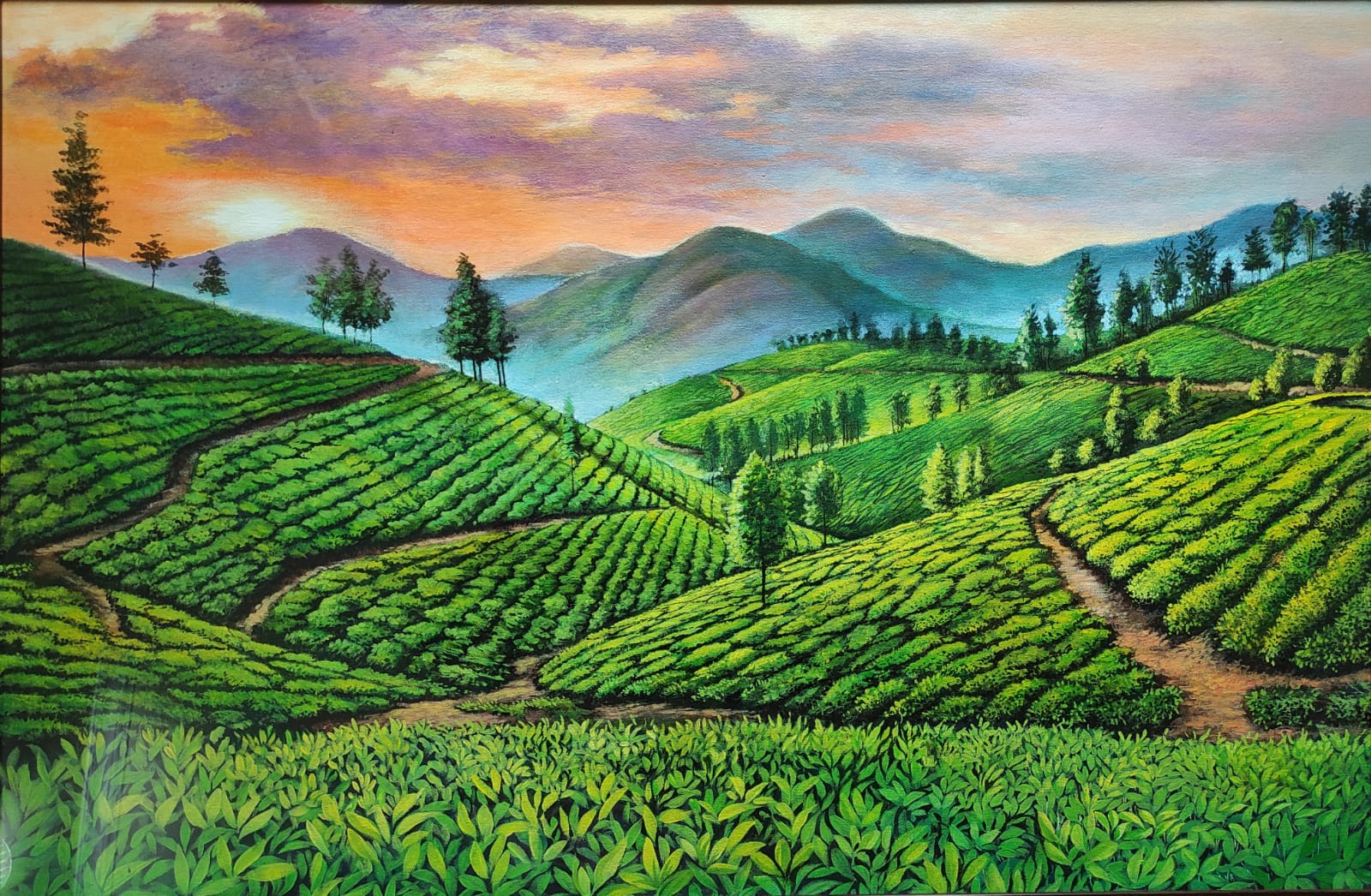 Munnar Tea Gardens